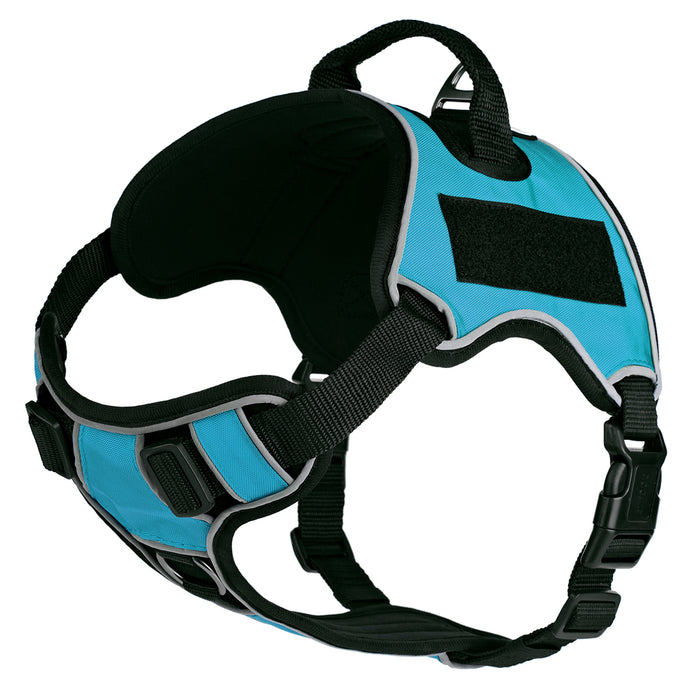 Teal dog harness made from neoprene, with top handle and two hook and loop fasteners; adjustable straps