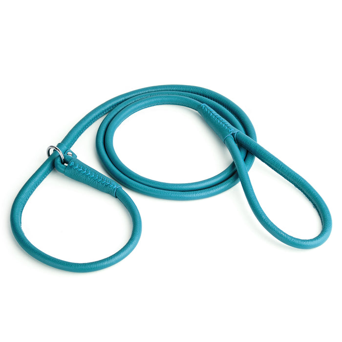 Teal leather dog slip lead