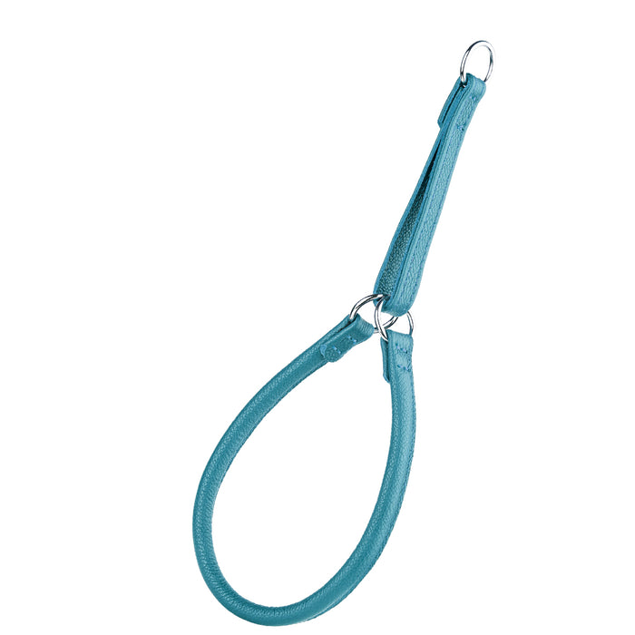 Teal leather martingale dog collar with three metal O-rings, 1/2 inch wide