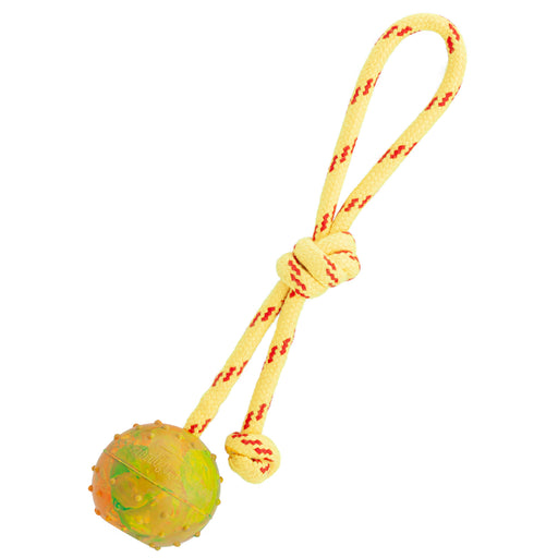 small rubber ball dog toy with rope