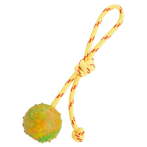 medium size rubber ball dog toy with strong rope