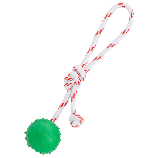rubber ball dog toy with nylon rope for beach or pool play activities