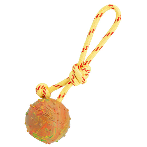 large rubber ball dog toy with rope