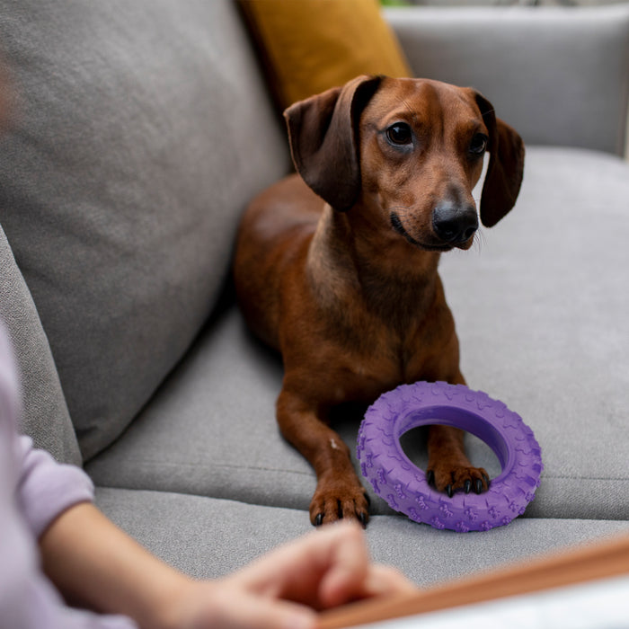 Rubber Tire Toy