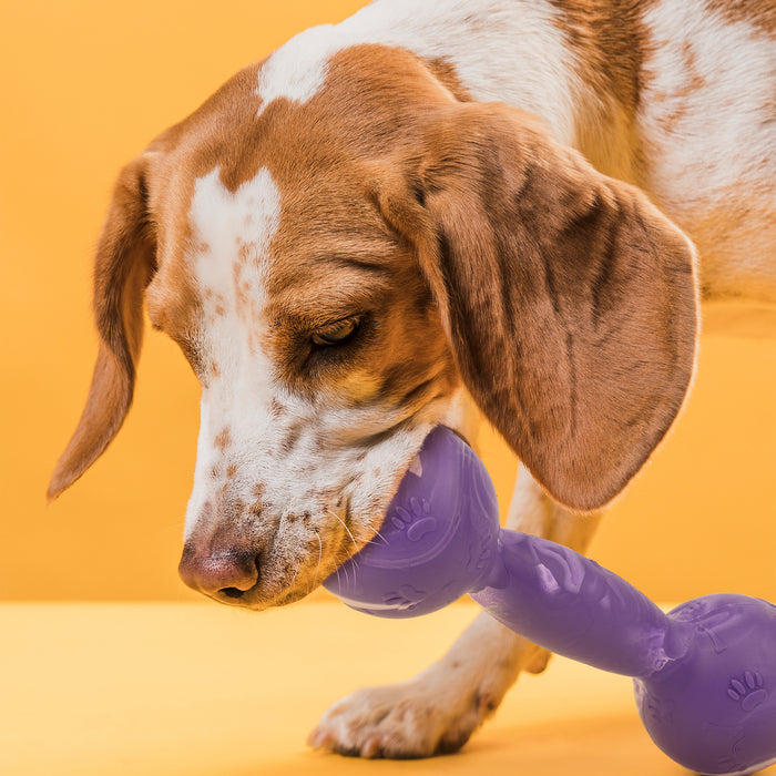 Rubber Dumbbell Toy