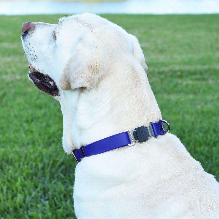 Dogline Biothane Waterproof Dog Collar with Herm Sprenger Stainless Steel Quick Release Buckle