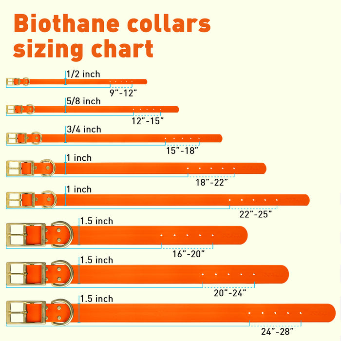 Viper Biothane Waterproof Collar - Brass Hardware - Size S (12 to