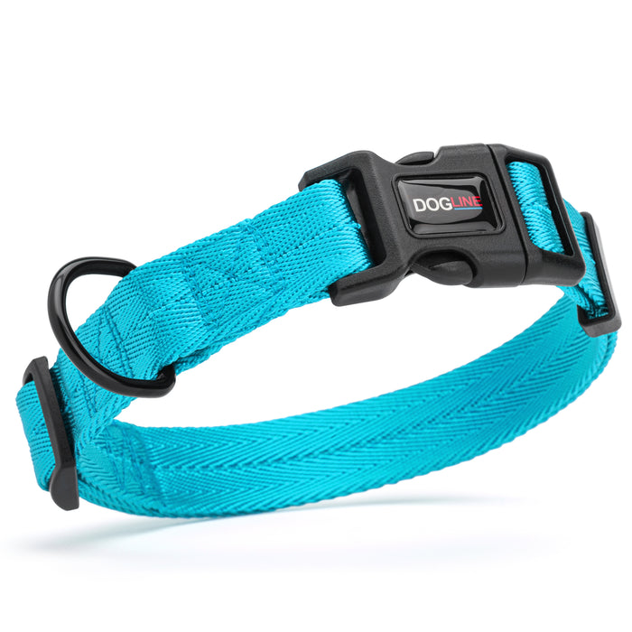 Cyan nylon dog collar with black quick release buckle and metal D-ring, adjustable