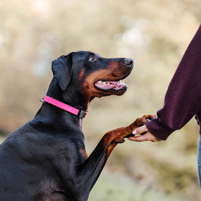 Sprenger Rubber Flexcover for Prong Collar