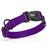 Purple nylon dog collar with black quick release buckle and metal D-ring, adjustable