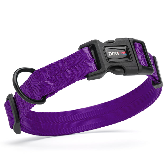 Purple nylon dog collar with black quick release buckle and metal D-ring, adjustable