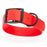 Biothane Waterproof Dog Collar with Black Hardware