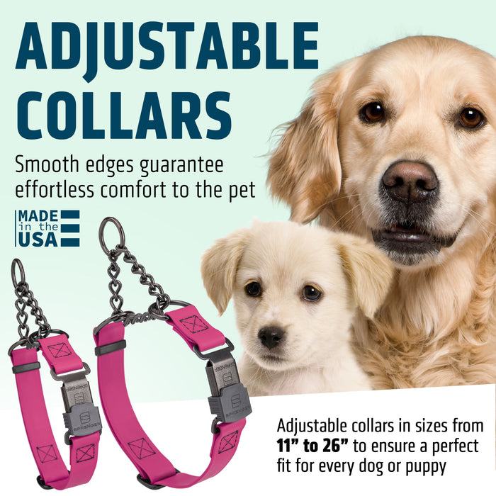 Dogline Biothane Martingale Dog Collar with Herm Sprenger Stainless Steel ClicLock Buckle