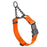 Hunter Orange adjustable martingale collar with black Herm Sprenger buckle and black stainless steel chain, 3/4 inch wide, made from Biothane