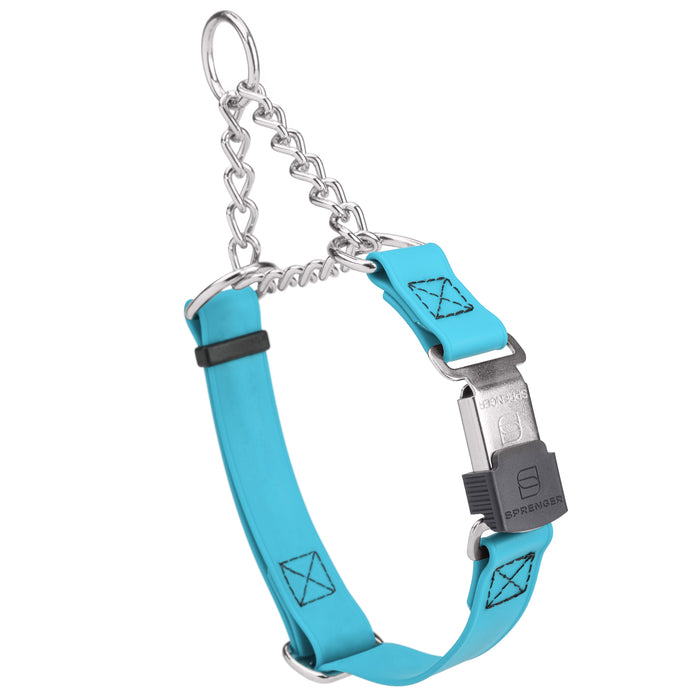Sky Blue Biothane martingale collar with silver Herm Sprenger buckle and silver chain, 3/4 inch wide