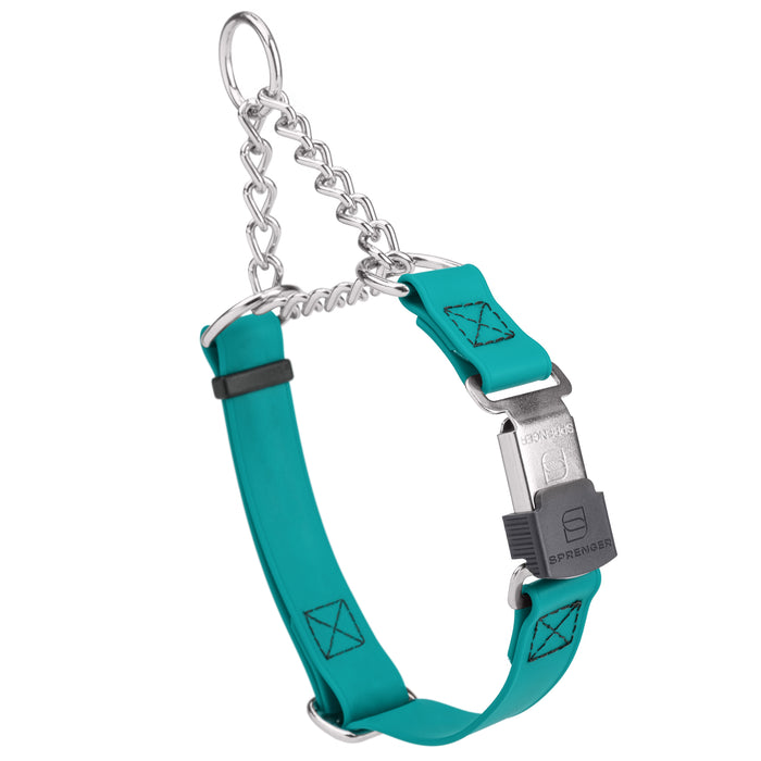 Teal Biothane martingale collar with silver Herm Sprenger buckle and silver chain, 3/4 inch wide