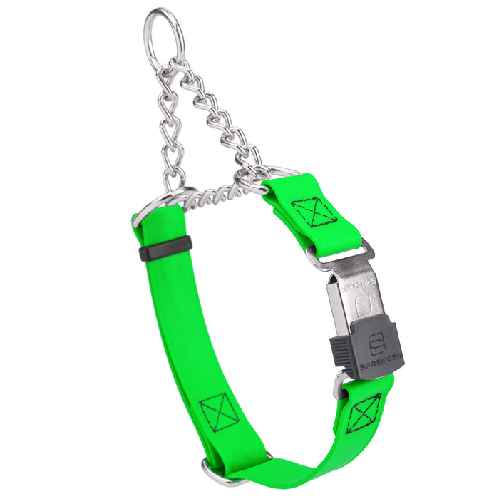 Tropical Green Biothane martingale collar with silver Herm Sprenger buckle and silver chain, 3/4 inch wide