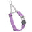 Amethyst Purple Biothane martingale collar with silver Herm Sprenger buckle and silver chain, 3/4 inch wide
