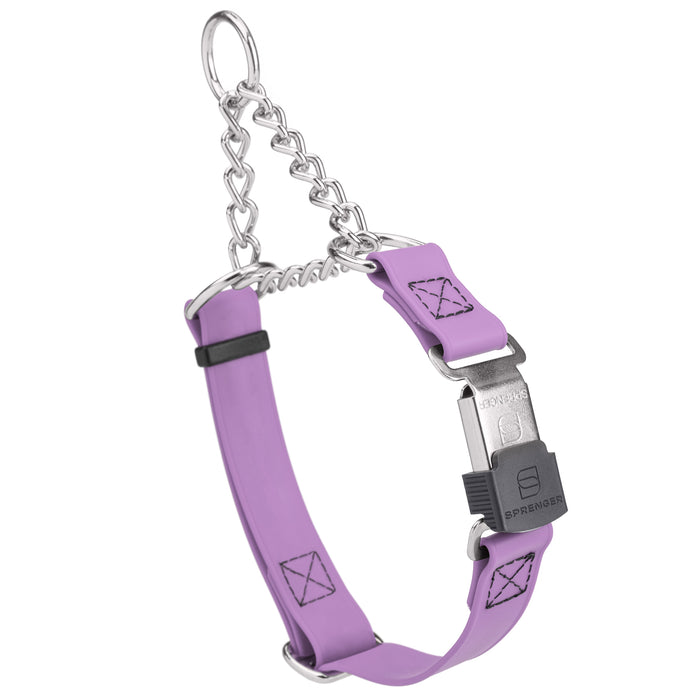 Amethyst Purple Biothane martingale collar with silver Herm Sprenger buckle and silver chain, 3/4 inch wide