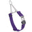 Violet Purple Biothane martingale collar with silver Herm Sprenger buckle and silver chain, 3/4 inch wide
