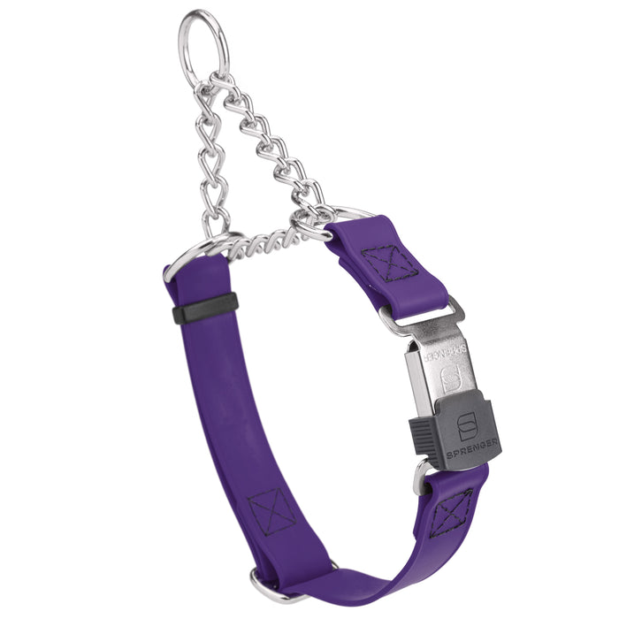 Violet Purple Biothane martingale collar with silver Herm Sprenger buckle and silver chain, 3/4 inch wide