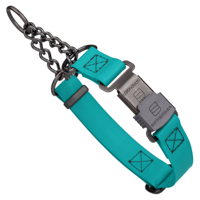 Teal Biothane martingale dog collar with black Herm Sprenger buckle and black chain, 1 inch wide, adjustable