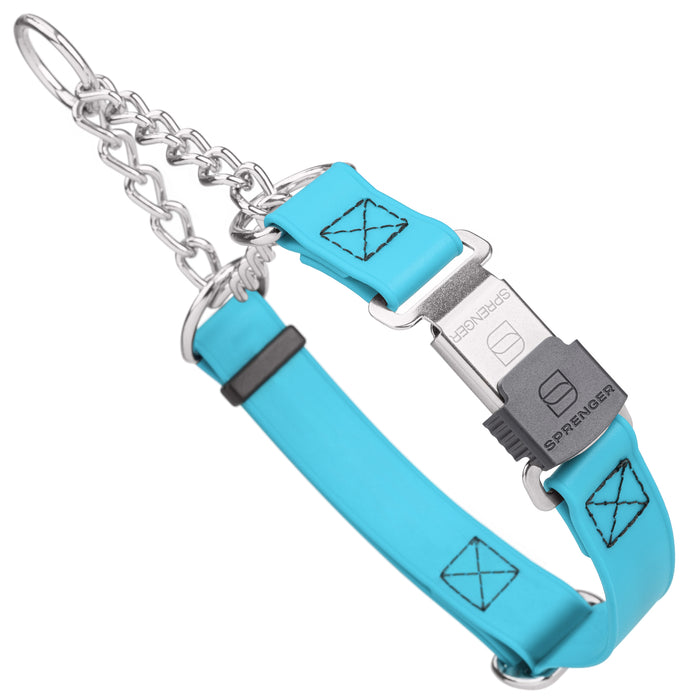 Chain martingale dog collar with Herm Sprenger buckle, 1 inch wide, made from Biothane, Sky Blue