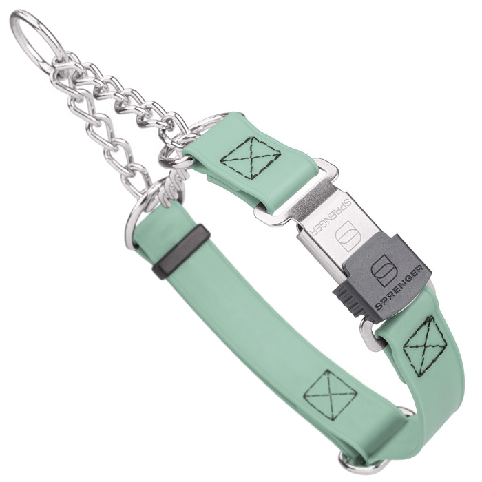 Chain martingale dog collar with Herm Sprenger buckle, 1 inch wide, made from Biothane, Sage Green