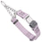 Chain martingale dog collar with Herm Sprenger buckle, 1 inch wide, made from Biothane, Pastel Purple