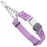 Chain martingale dog collar with Herm Sprenger buckle, 1 inch wide, made from Biothane, Amethyst Purple 