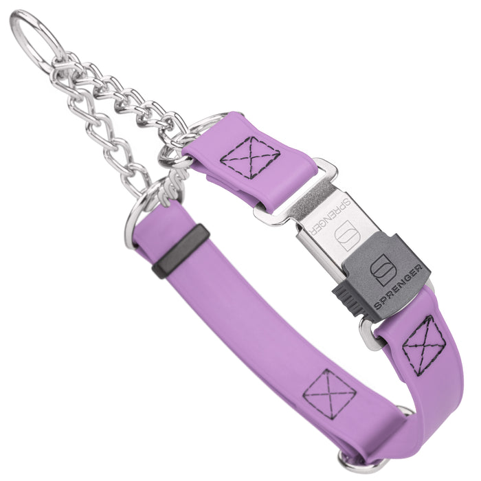Chain martingale dog collar with Herm Sprenger buckle, 1 inch wide, made from Biothane, Amethyst Purple 