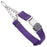 Chain martingale dog collar with Herm Sprenger buckle, 1 inch wide, made from Biothane, Violet Purple