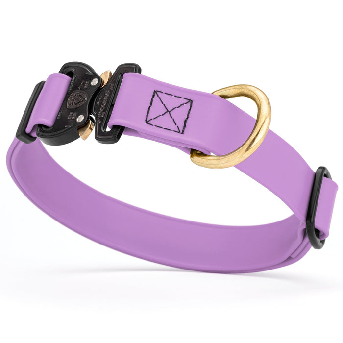 Amethyst Purple waterproof dog collar with Cobra metal buckle and brass D-ring, made from Biothane webbing, adjustable length