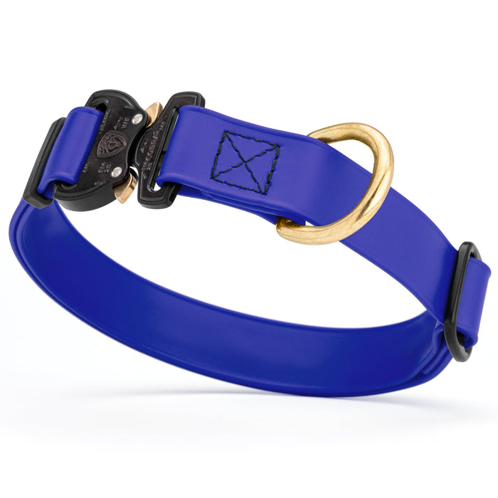 Blueberry waterproof dog collar with Cobra metal buckle and brass D-ring, made from Biothane webbing, adjustable length