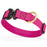 Magenta Pink waterproof dog collar with Cobra metal buckle and brass D-ring, made from Biothane webbing, adjustable length