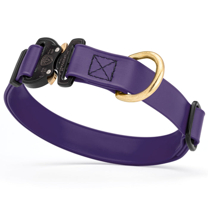 Violet Purple waterproof dog collar with Cobra metal buckle and brass D-ring, made from Biothane webbing, adjustable length