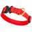 Cherry Red waterproof dog collar with Cobra metal buckle and brass D-ring, made from Biothane webbing, adjustable length