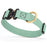 Sage Green waterproof dog collar with Cobra metal buckle and brass D-ring, made from Biothane webbing, adjustable length