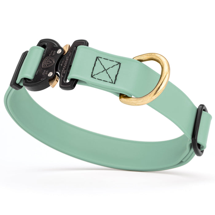 Sage Green waterproof dog collar with Cobra metal buckle and brass D-ring, made from Biothane webbing, adjustable length
