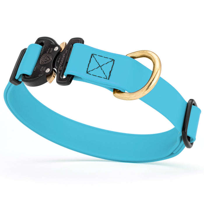 Sky Blue waterproof dog collar with Cobra metal buckle and brass D-ring, made from Biothane webbing, adjustable length