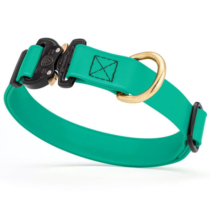 Teal waterproof dog collar with Cobra metal buckle and brass D-ring, made from Biothane webbing, adjustable length