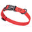 Cherry Red waterproof dog collar with plastic quick release buckle and metal D-ring, made from pebble textured Biothane, 3/4 inch wide