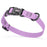 Amethyst Purple waterproof dog collar with plastic quick release buckle and metal D-ring, made from pebble textured Biothane, 3/4 inch wide