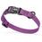 Grape Purple waterproof dog collar with plastic quick release buckle and metal D-ring, made from pebble textured Biothane, 3/4 inch wide