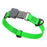 Tropical Green Biothane dog collar with pebble textured coating and Herm Sprenger black buckle, 3/4 inch wide, adjustable