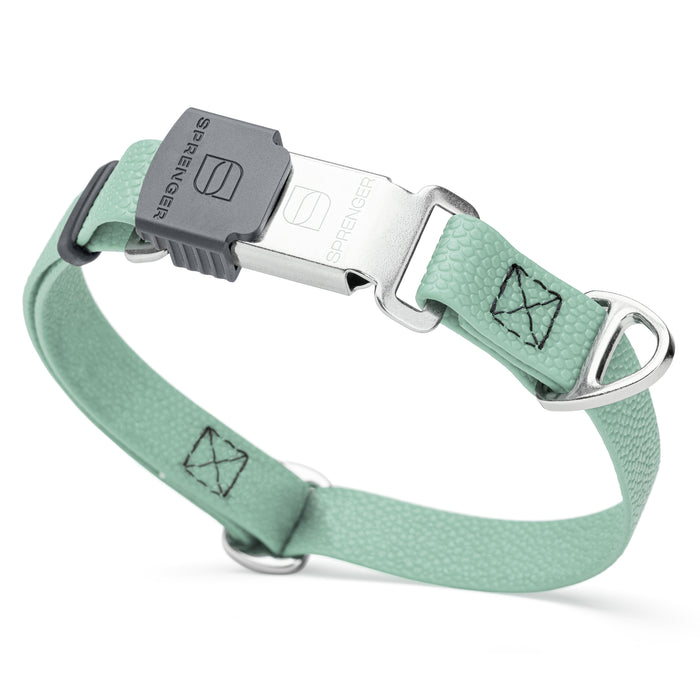 Sage Green waterproof dog collar with Herm Sprenger stainless steel buckle, made from pebble embossed Biothane, 3/4 inch wide