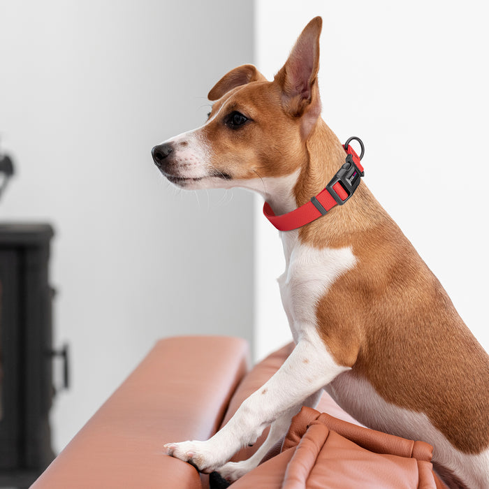 Pebble Emboss Biothane Dog Collar with Quick Release Buckle