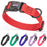 Pebble textured Biothane dog collar with plastic quick release buckle and metal D-ring, adjustable. Red, black, teal, blue, purple, pink, and 2 other colors available