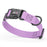 Pebble Grip Biothane adjustable dog collar with quick release buckle, Amethyst Purple, 1 inch wide