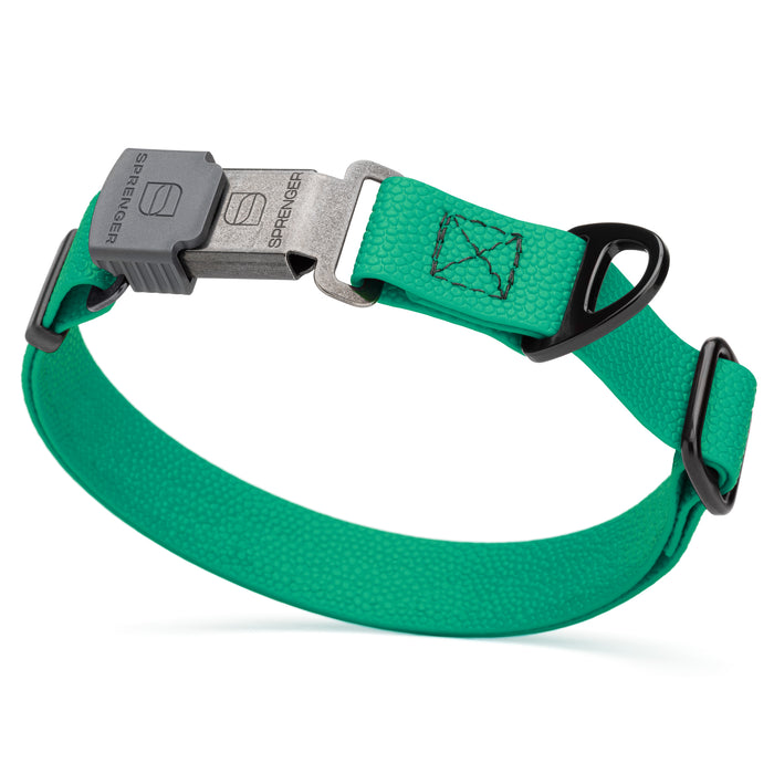 Pebble Grip Biothane dog collar with Herm Sprenger black Cliclock buckle, 1 inch wide, Teal 